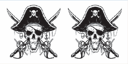 PIRATE.2motifs..55mm**