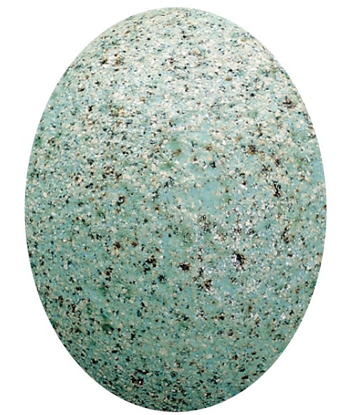 EF_121 VERT GRANITE