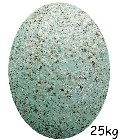 EF_121 VERT GRANITE 25Kg