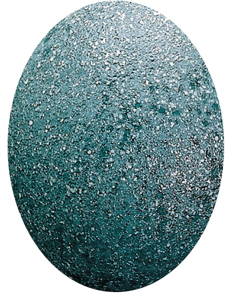 EF_37 BLEU VERT GRANITE