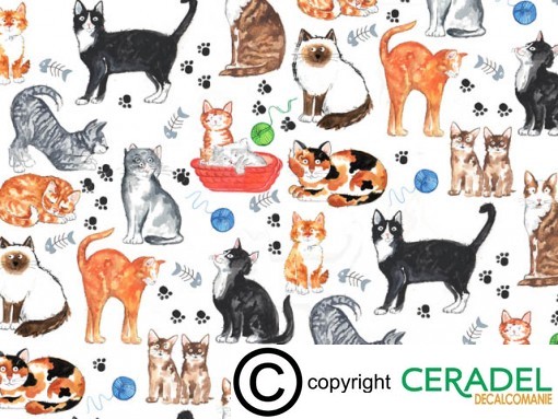 CAT CHINTZ DIM.50X70