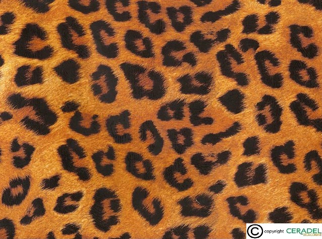 LEOPARD CHINTZ DIM.50X70