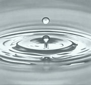 MEDIUM 0405 Serigraphie