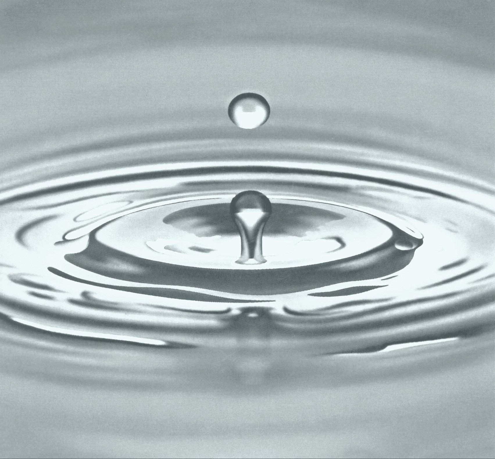 MEDIUM 0405 Serigraphie