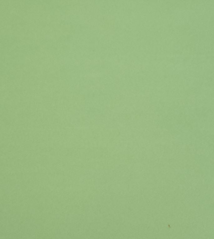 26/F.COULEUR CITRON VERT -26 DIM.33X23cm/750-850°C