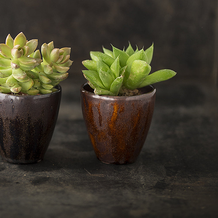 Émail Botz B9224 Aventure Brillant 200ML