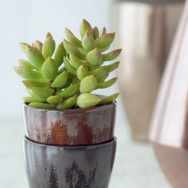 Émail Botz B9224 Aventure Brillant 200ML