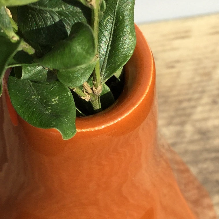 Émail Botz B9365 Cuir Brun 200ML