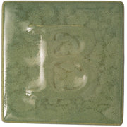 Émail Botz B9523 Vert Pin 200 ML