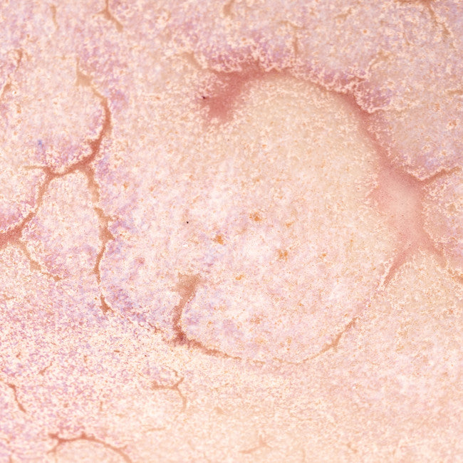 Émail grès à effets Amaco - CR17 Flux Crawl - 472ml