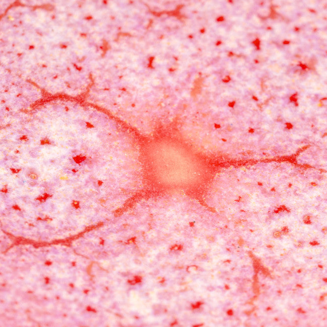 Émail grès à effets Amaco - CR17 Flux Crawl - 472ml