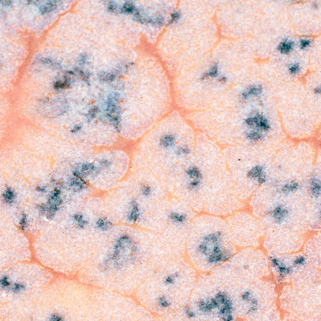 Émail grès à effets Amaco - CR18 Speckled Flux Crawl - 472ml