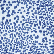 Émail grès à effets Amaco - CR20 Dark Blue - 472ml