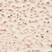 Émail grès à effets Amaco - CR51 Speckeld Pink - 472ml