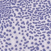 Émail grès à effets Amaco - CR54 Purple - 472ml