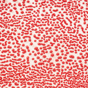 Émail grès à effets Amaco - CR58 Red - 472ml