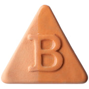B9826 BOTZ EDITION ENGOBE FLORIDA 1180° - 1280°C