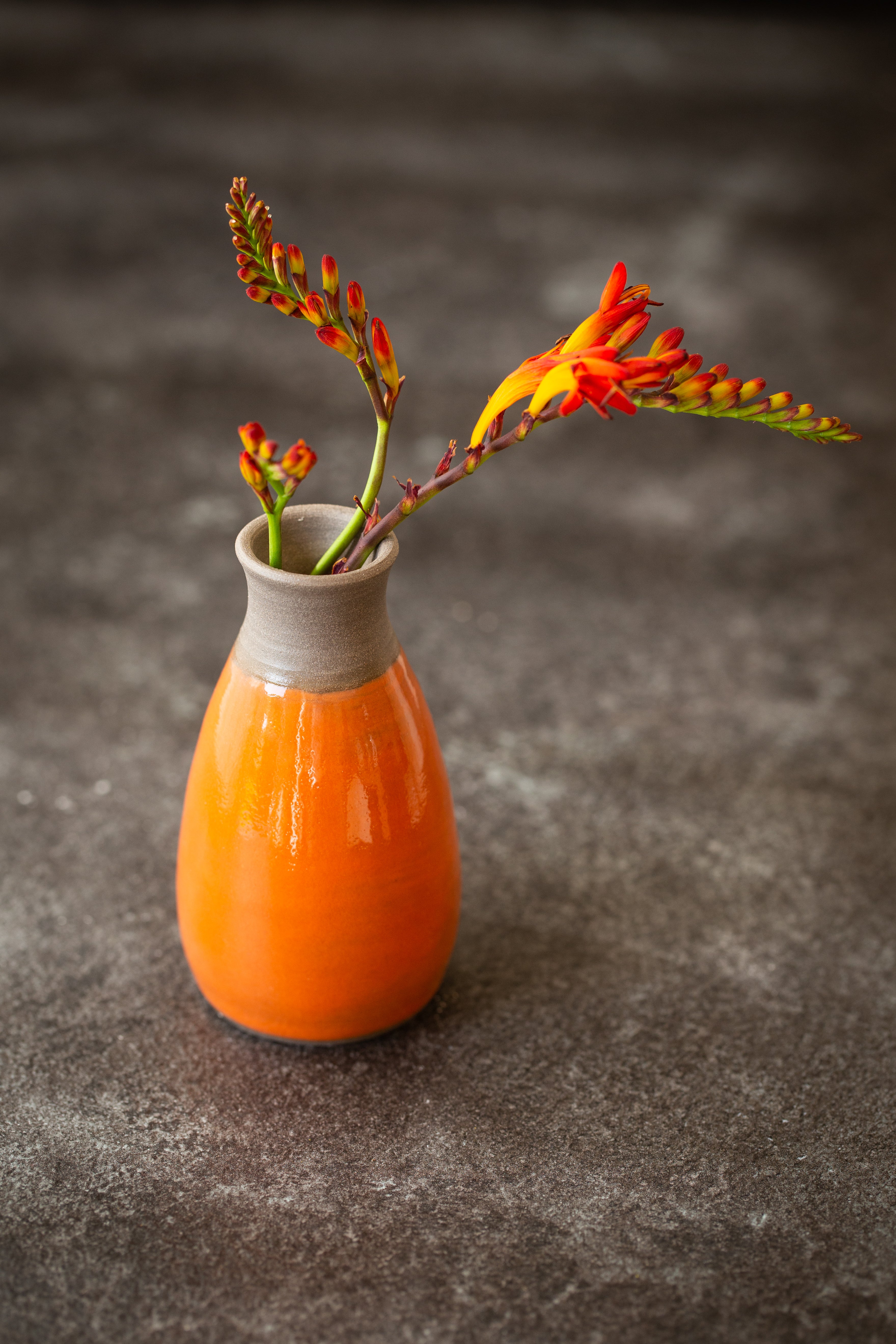 Émail Brillant Botz Pro - B9621 Opale de feu