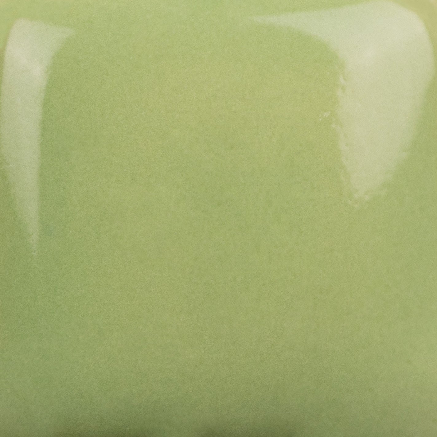 Émail brilliant Mayco Stroke&Coat® - SC043 LETTUCE ALONE 990°-1250°C
