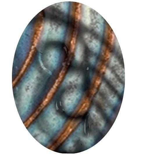 Émail grès & porcelaine Série Nordique – P2567 Automne