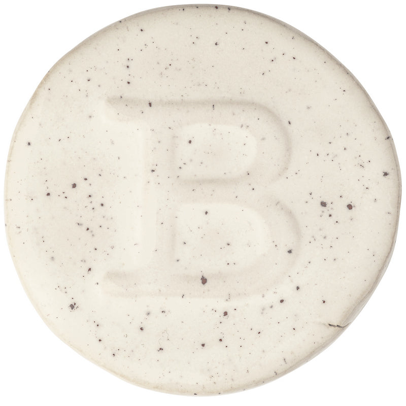 Émail Brillant Botz Pro - B9313 Blanc Pyrite