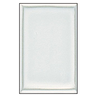 EH110B BLANC STANNIFERE (979110)