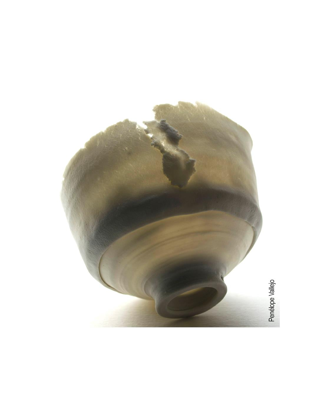CELLULAIN PORCELAINE PAPIER "PAPER CLAY" 5KG