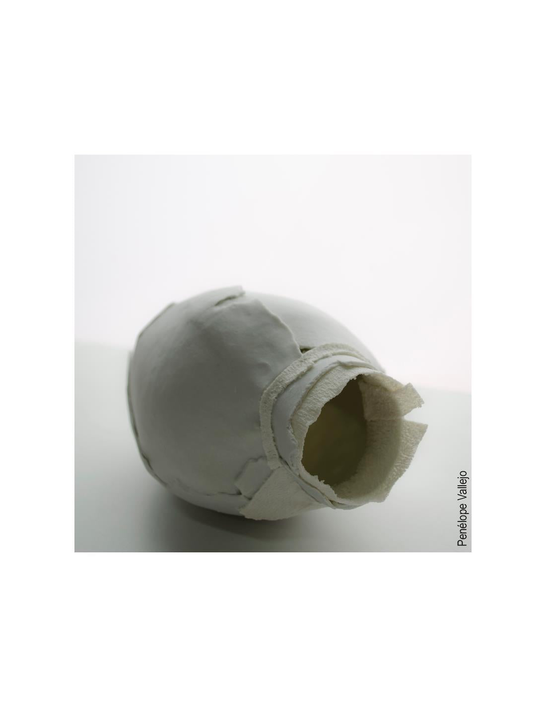 CELLULAIN PORCELAINE PAPIER "PAPER CLAY" 5KG