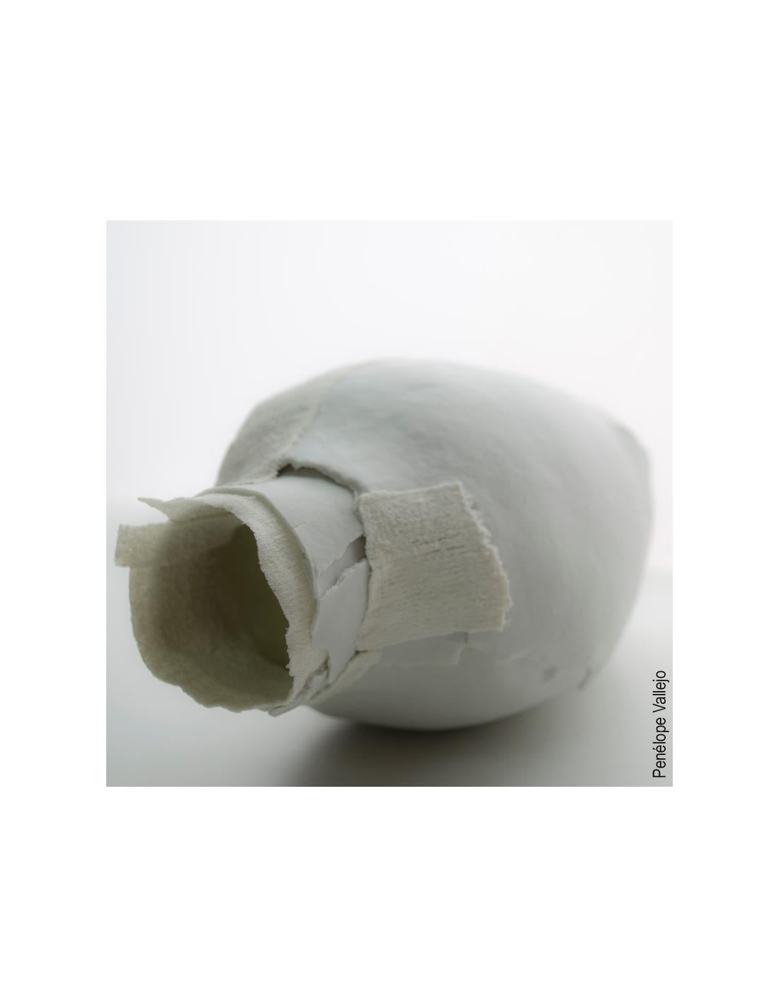 CELLULAIN PORCELAINE PAPIER "PAPER CLAY" 5KG