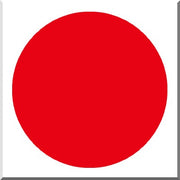 CERA 300/F7430 ROUGE NOEL Opaque Plombeux