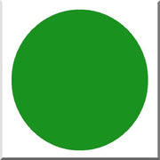 CERA 331/F1680 VERT IRLANDAIS Opaque Plombeux