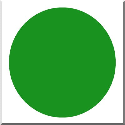 CERA 331/F1680 VERT IRLANDAIS Opaque Plombeux