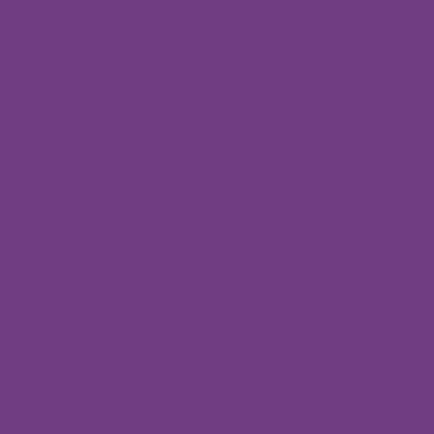 CERA 8096 VIOLET FONCÉ (750-840°C)
