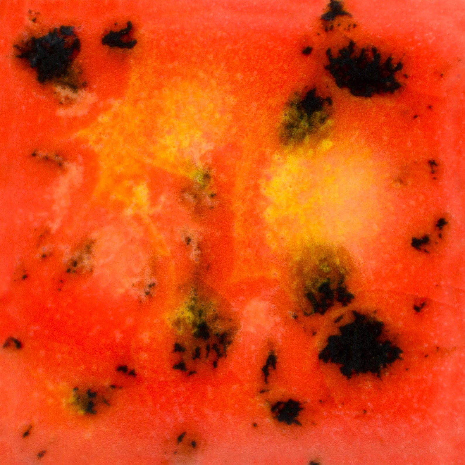 Émail brilliant Mayco Jungle Gems® - CG1002 Day Lily