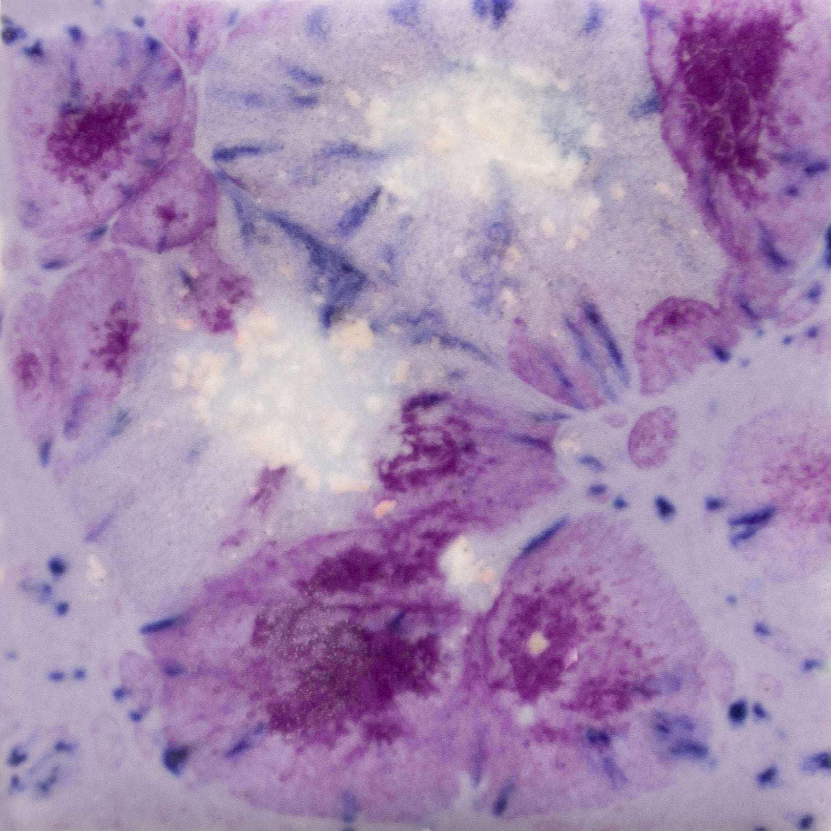 Émail brilliant Mayco Jungle Gems® - CG-1006 Purple Reign