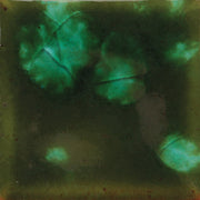 Émail brilliant Mayco Jungle Gems® - CG707 Woodland Fantasy