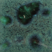 Émail brilliant Mayco Jungle Gems® - CG713 Peacock Green