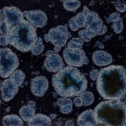 Émail brilliant Mayco Jungle Gems® - CG786 Obsidian