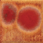 Émail brilliant Mayco Jungle Gems® - CG972 Dragon's Breath