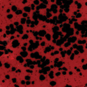 Émail brilliant Mayco Jungle Gems® - CG984 Ladybug