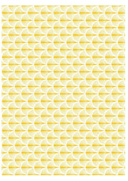 CHROMO 70100 OR Brillant Dim.30x20cm-Temp.780-820°C