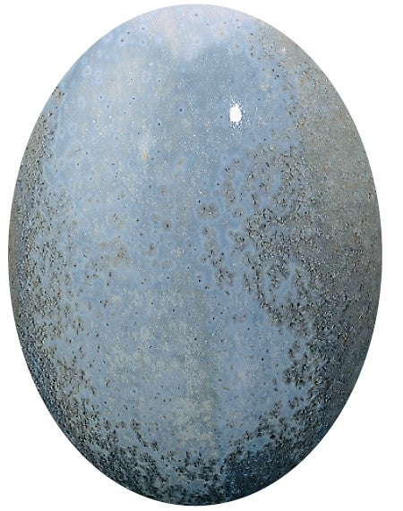 EG 21 BLEU CRISTAL