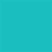 GLASSLINE BRONZE BIB 56grs/GA19