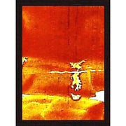 JAUNE ARGENT FORT CHLORURE JA-FC-23