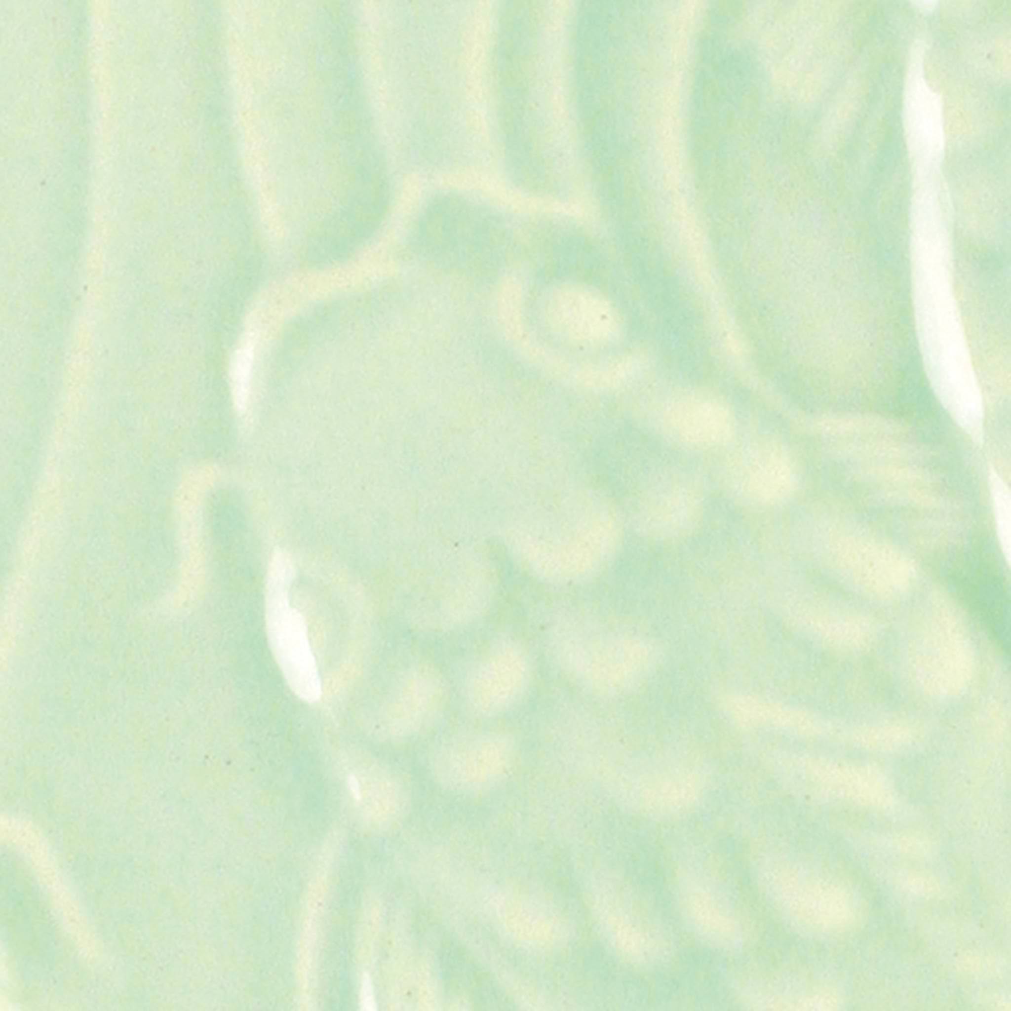 Émail brillant faïence Amaco - LG42 Light Green