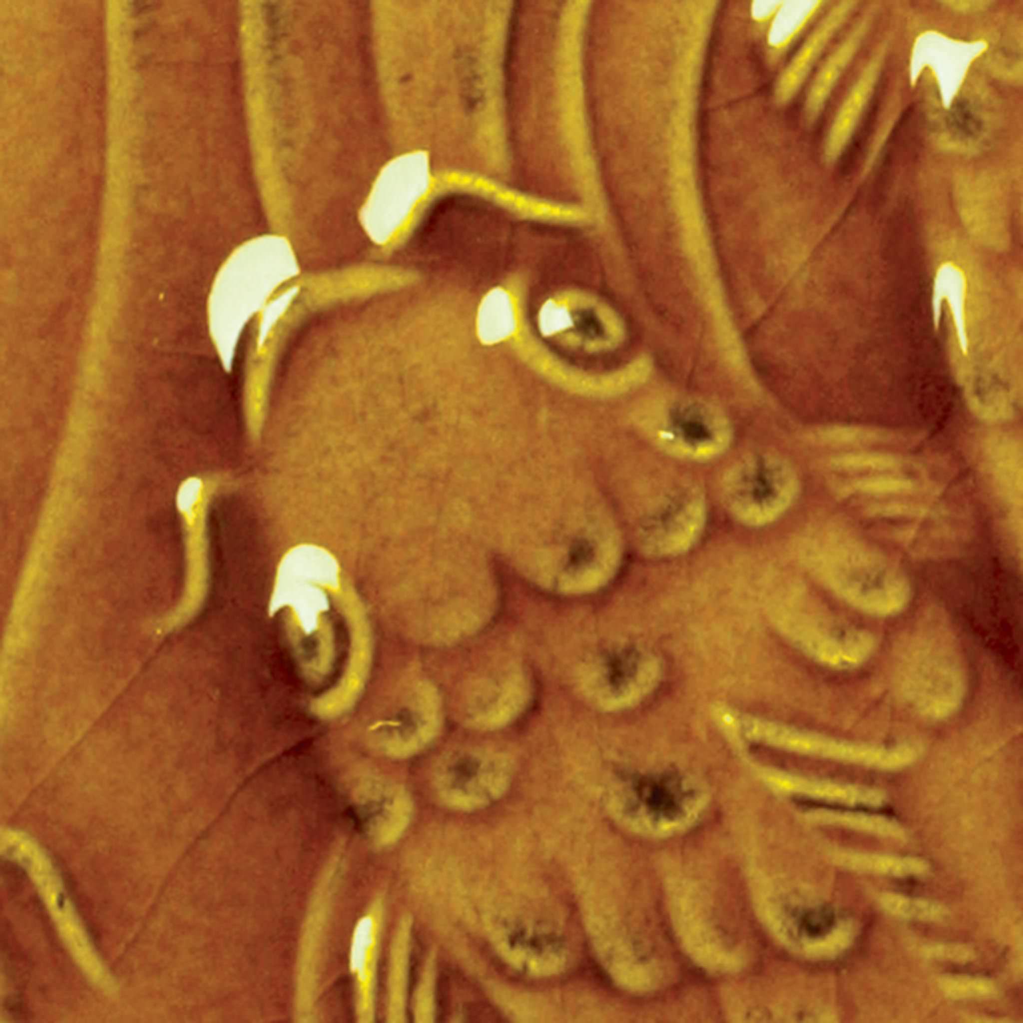 Émail brillant faïence Amaco - LG65 Amber