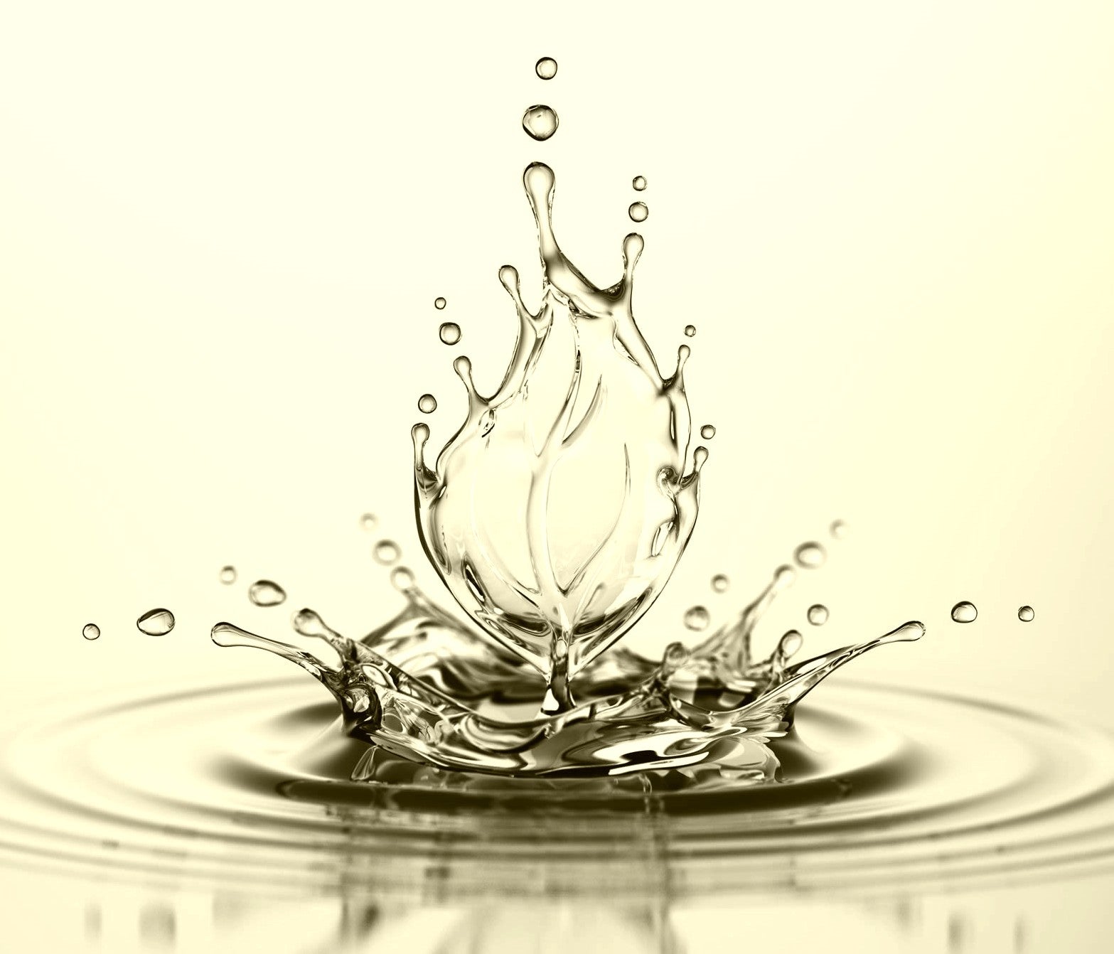 NETTOYEUR Ecran Serigraphie 0448