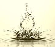 NETTOYEUR Ecran Serigraphie 0448