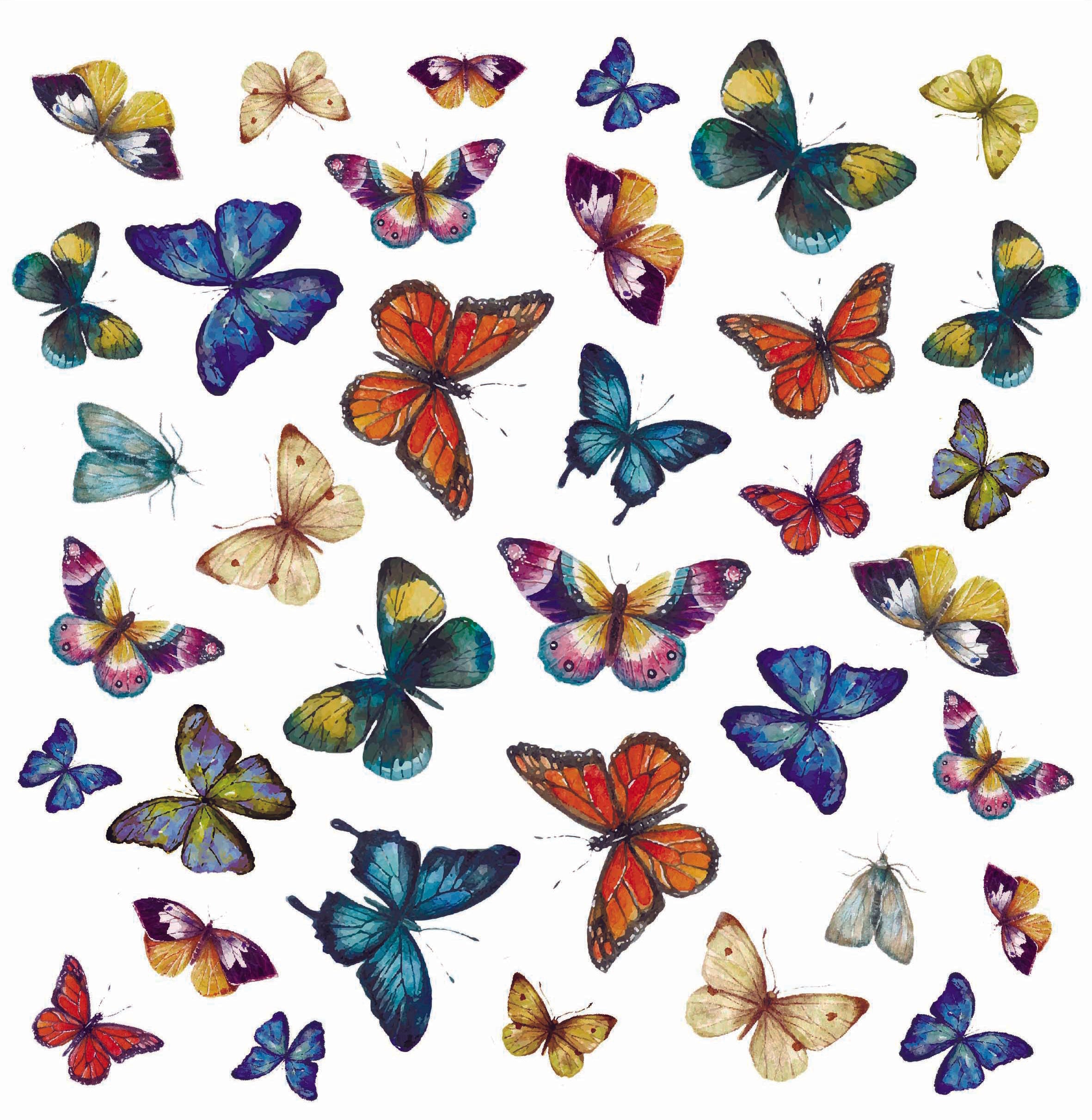 PAPILLONS.36motifs.15/40mm maxi**