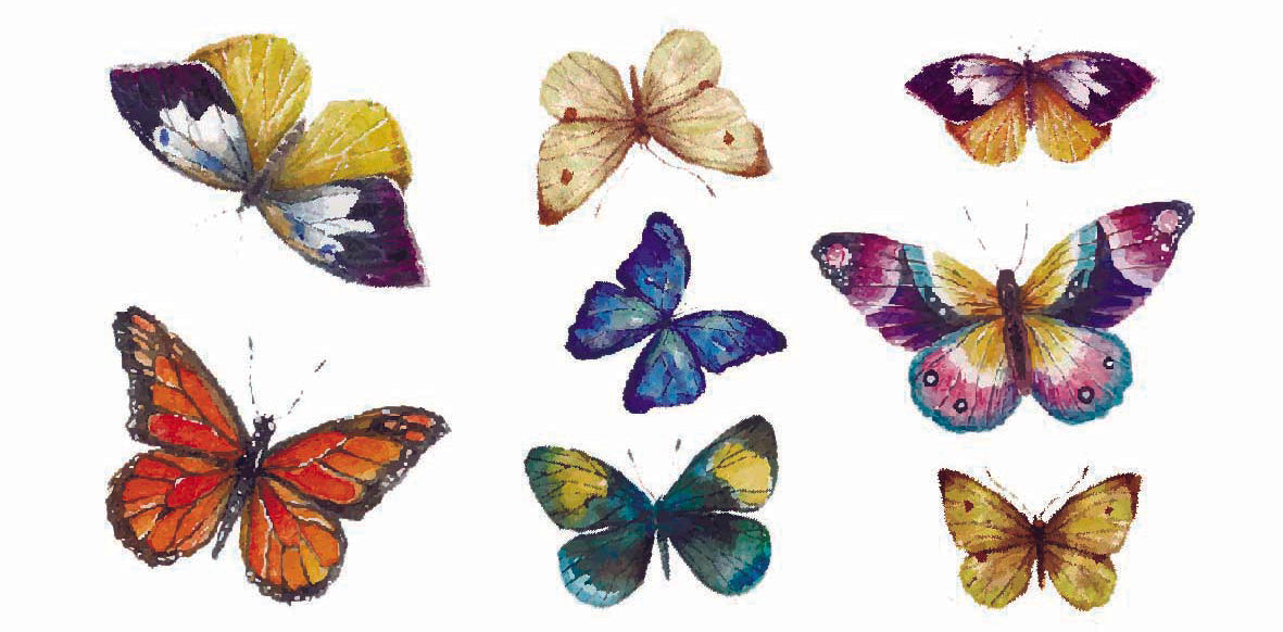 PAPILLONS.8motifs.15/30mm maxi**